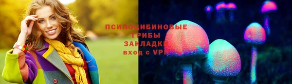 гашик Верея