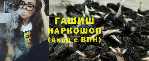 гашик Верея
