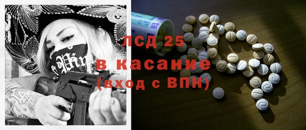 гашик Верея
