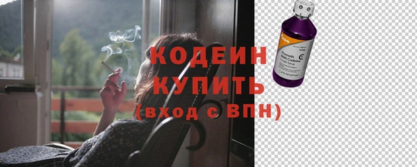гашик Верея