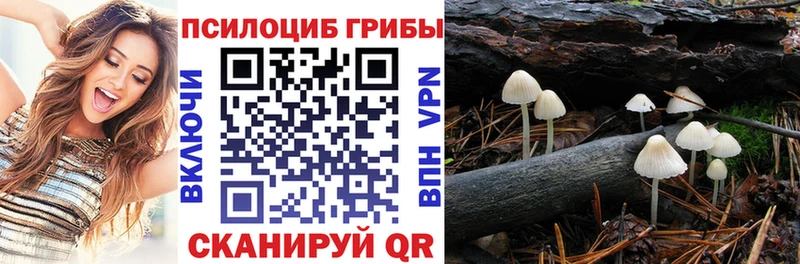 Псилоцибиновые грибы прущие грибы  Купить  Наволоки 